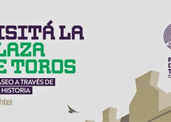 Horarios de las visitas guiadas en la Plaza de Toros del Real de San Carlos