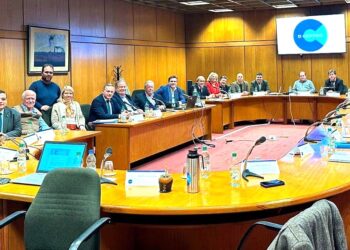 D Centro tuvo su primera reunión interna y dejó confirmada la Mesa Ejecutiva provisoria del sector