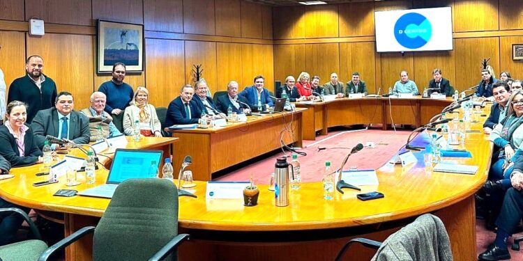 D Centro tuvo su primera reunión interna y dejó confirmada la Mesa Ejecutiva provisoria del sector