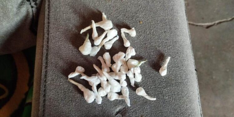 Cerraron dos bocas de venta de drogas en Florencio Sánchez