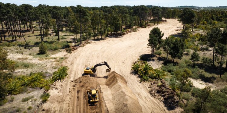 +Colonia inició las obras y esperan que los “máscolonos comiencen a habitar el lugar en 2025”