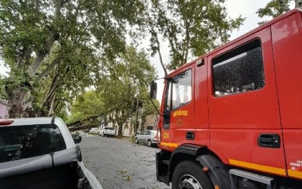 El CECOED se mantiene en sesión permanente y se sigue con los trabajos en todo el departamento