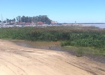 Edil Gabriel Gabbiani vuelve a reclamar la limpieza de la Playa Verde