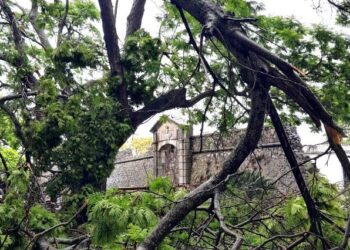 Dos personas murieron en Colonia como consecuencia del temporal de la madrugada del domingo