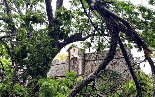 Dos personas murieron en Colonia como consecuencia del temporal de la madrugada del domingo