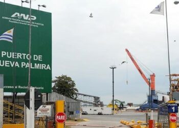 Puerto de Nueva Palmira prevé tráfico de 3 millones de toneladas de mineral de hierro en 2024