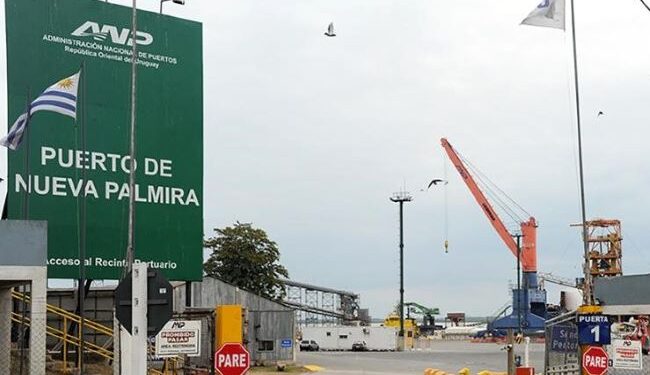 Puerto de Nueva Palmira prevé tráfico de 3 millones de toneladas de mineral de hierro en 2024