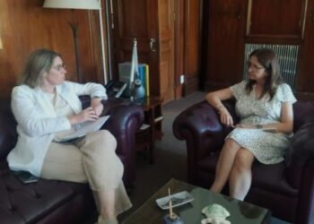 Diputada Reisch presentará propuesta para que residencias y postgrados de Medicina se realicen en el interior del país