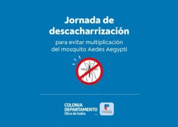 Realizarán jornadas de descacharrización en Colonia durante toda la semana