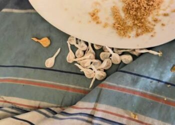 Con la Operación Pasadizo desarticulan tres bocas de drogas en Rosario