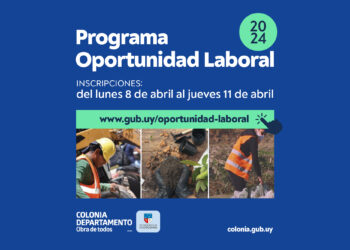 El lunes 8 abren las inscripciones para la Fase 5 del Programa Oportunidad Laboral