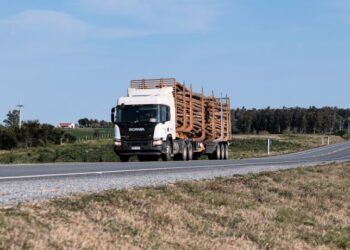 Montes del Plata completó 365 días sin accidentes con tiempo perdido en toda su cadena logística