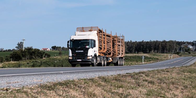 Montes del Plata completó 365 días sin accidentes con tiempo perdido en toda su cadena logística