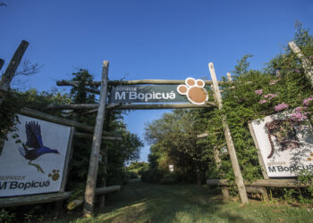 Montes del Plata abrirá a la comunidad el Bioparque M’Bopicuá durante las vacaciones de invierno