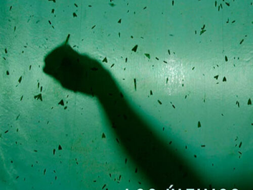 Estrenan el documental “Los Últimos” en el Bastión del Carmen de Colonia