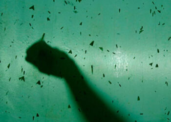 Estrenan el documental “Los Últimos” en el Bastión del Carmen de Colonia