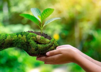 “La naturaleza no es un lugar para visitar, es nuestro hogar”