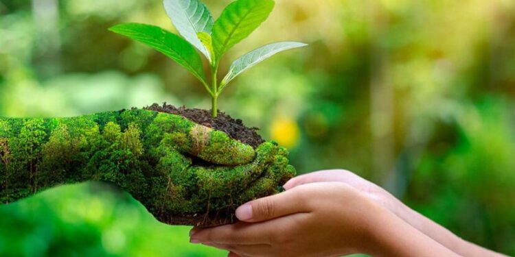 “La naturaleza no es un lugar para visitar, es nuestro hogar”