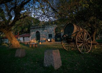 Celebración especial por el Día del Padre en Bodegas Los Cerros de San Juan