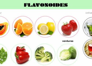 Bienestar te cuida: Alimentos ricos en flavonoides para proteger tu cerebro