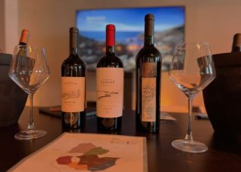 Colonia promocionó su oferta turística en la The North Experience en Buenos Aires  