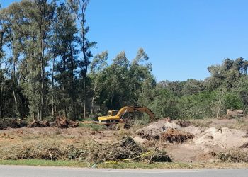 Comenzaron los trabajos en el predio de la Zona Franca del Plata en el Real