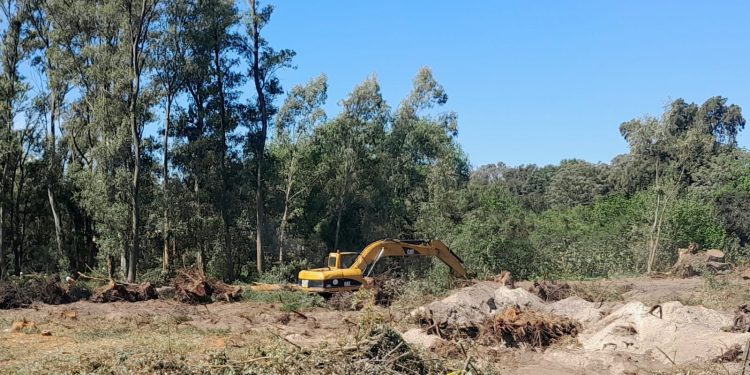 Comenzaron los trabajos en el predio de la Zona Franca del Plata en el Real