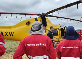 Montes del Plata implementa monitoreo satelital para detección temprana de incendios en todos sus bosques