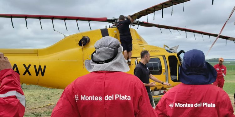Montes del Plata implementa monitoreo satelital para detección temprana de incendios en todos sus bosques