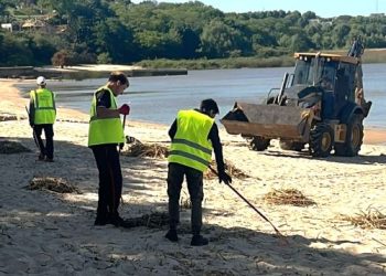 Dirección de Paseos Públicos comenzó con las tradicionales jornadas de playa