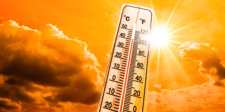 Recomendaciones de Bienestar para hacerle frente a las olas de calor