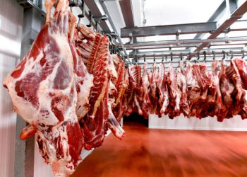 Minerva propone ahora comprar Establecimientos Colonia en Tarariras para vendérselo al grupo Allana