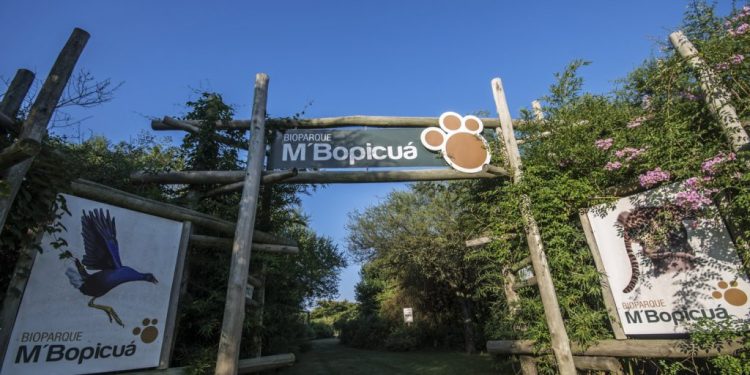 El Bioparque M’Bopicuá de Montes del Plata cumple 25 años y vuelve a abrir sus puertas al público