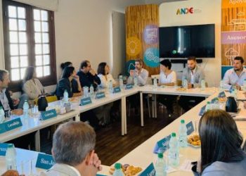 Nuevo directorio de ANDE se reunió con los socios estratégicos de los Centros Pymes de todo el país