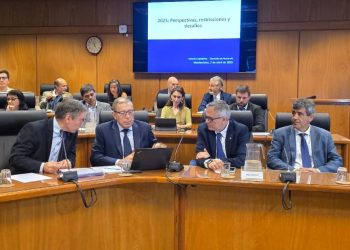 Para Oddone el país tiene “una economía sólida, con desafíos fiscales”