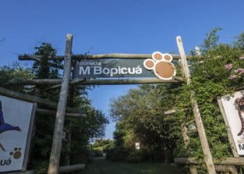 Montes del Plata vuelve a abrir al público su Bioparque M’Bopicuá durante las vacaciones de invierno