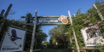 Montes del Plata vuelve a abrir al público su Bioparque M’Bopicuá durante las vacaciones de invierno