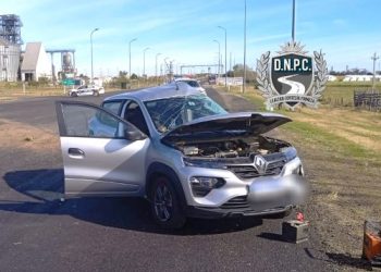 Choque entre un auto y un camión con una persona fallecida en Nueva Palmira