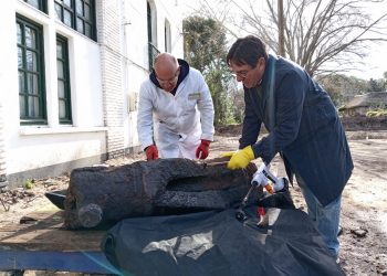 Se recupera una pieza de artillería colonial para su preservación patrimonial