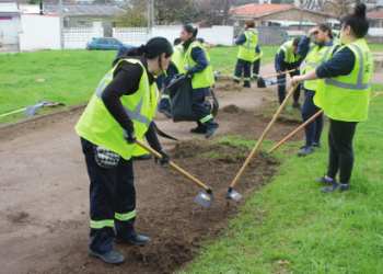 Parlamento aprobó por unanimidad el programa de empleo “Uruguay Impulsa”