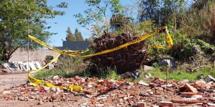 Expertos forenses determinaron que restos óseos en Carmelo corresponden a una antigua relocalización