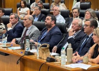 DCentro reivindica “el peso político del interior” y pide “dar un paso de calidad” para pasar “de la protesta a la propuesta”