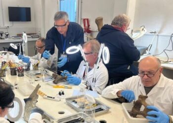 Escuela Taller Manuel Lobo comenzó curso de técnicas paleontológicas con certificación argentina