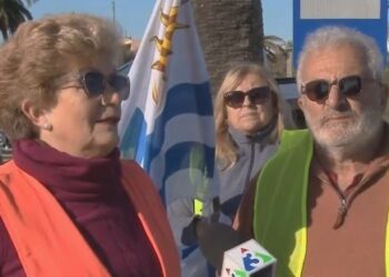 Vecinos reclaman medidas urgentes al MTOP para frenar el avance del picudo rojo en las palmeras de la Ruta 1