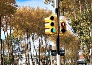Intendencia lanzó nuevo llamado para instalar cinco semáforos en Colonia
