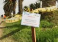 MTOP inició tratamientos contra el picudo rojo en las palmeras de la Ruta 1