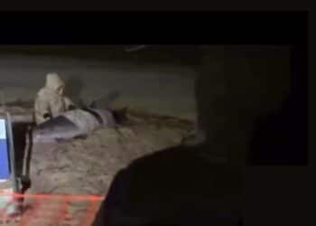 Murieron los dos delfines varados en la costa del Real de San Carlos en Colonia