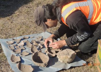 Huevos fósiles de titanosaurios de 80 millones de años: nuevo espacio en el Bioparque M’Bopicuá