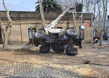 Dos lesionados leves en un aparatoso accidente en pleno centro de Colonia durante los trabajos de poda
