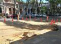 Intendencia de Colonia obligada a retirar dos grande plátanos ante el deterioro de la calzada en la Avenida General Flores
